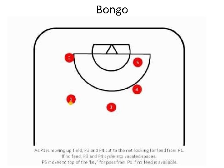 Bongo 