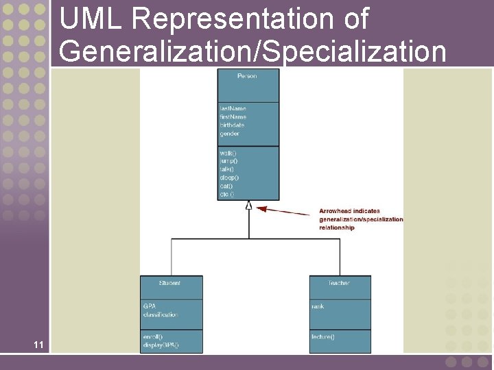 UML Representation of Generalization/Specialization 11 