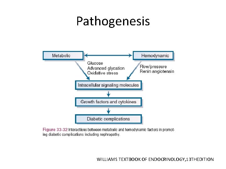 Pathogenesis WILLIAMS TEXTBOOK OF ENDOCRINOLOGY, 13 THEDITION 