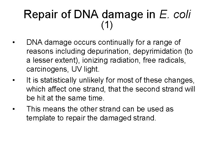 Repair of DNA damage in E. coli (1) • • • DNA damage occurs