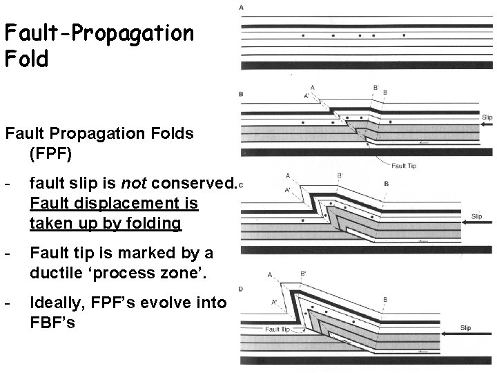 Fault-Propagation Fold Fault Propagation Folds (FPF) - fault slip is not conserved. Fault displacement
