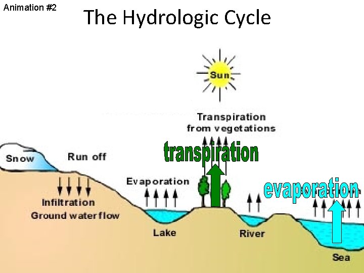Animation #2 The Hydrologic Cycle 