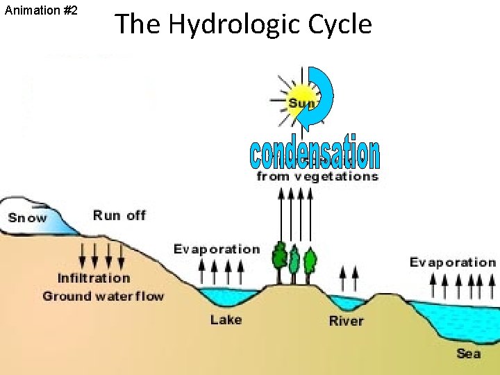 Animation #2 The Hydrologic Cycle 
