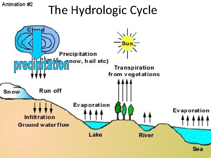 Animation #2 The Hydrologic Cycle 