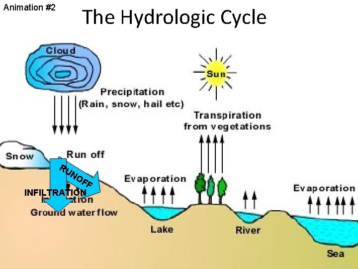 Animation #2 The Hydrologic Cycle RU N OF F INFILTRATION 