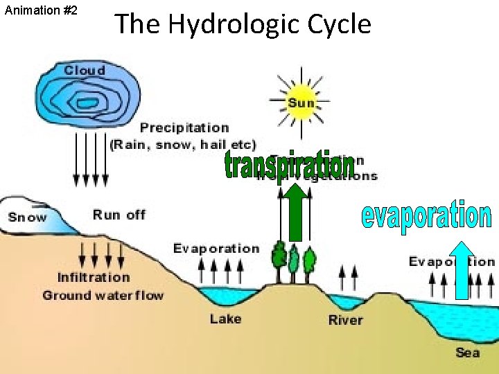 Animation #2 The Hydrologic Cycle 