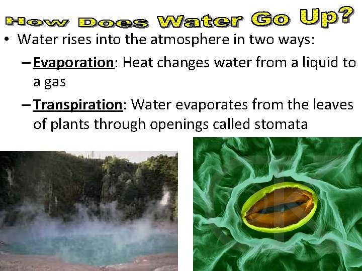 • Water rises into the atmosphere in two ways: – Evaporation: Heat changes