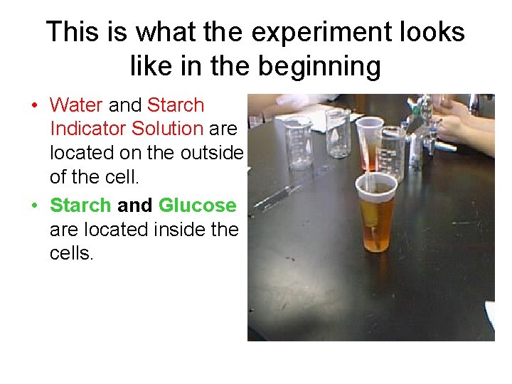 This is what the experiment looks like in the beginning • Water and Starch