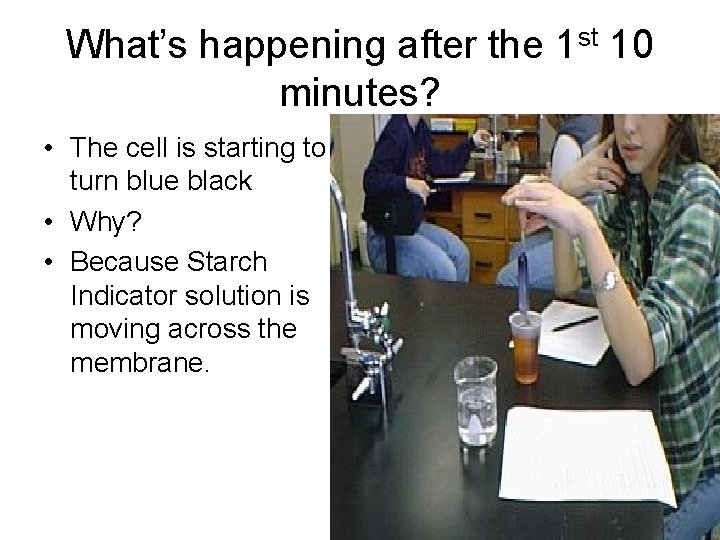 What’s happening after the 1 st 10 minutes? • The cell is starting to