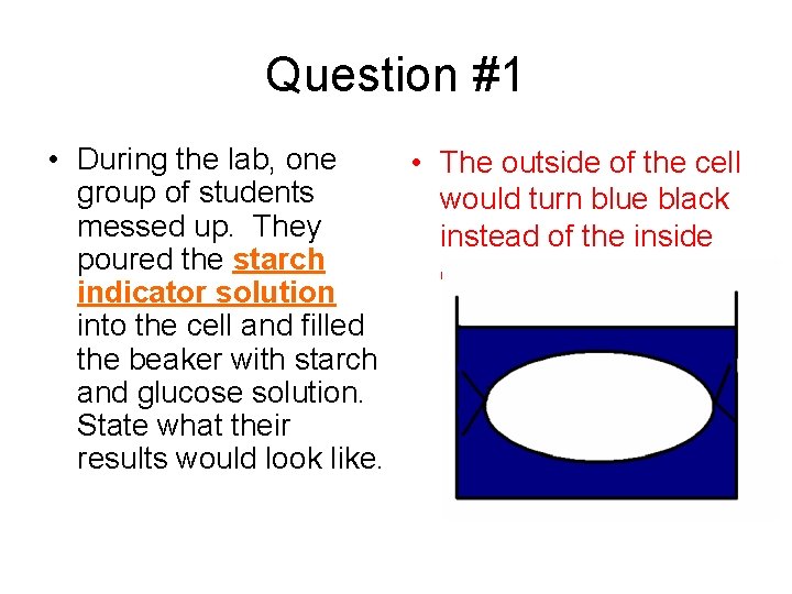 Question #1 • During the lab, one • The outside of the cell group