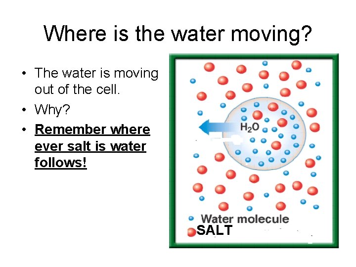 Where is the water moving? • The water is moving out of the cell.