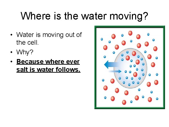 Where is the water moving? • Water is moving out of the cell. •