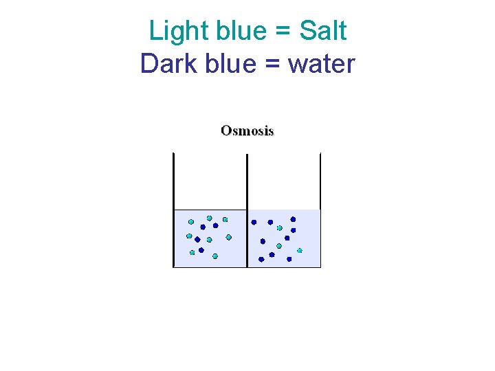 Light blue = Salt Dark blue = water 