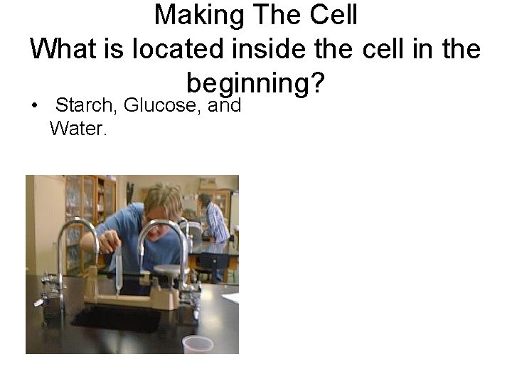 Making The Cell What is located inside the cell in the beginning? • Starch,