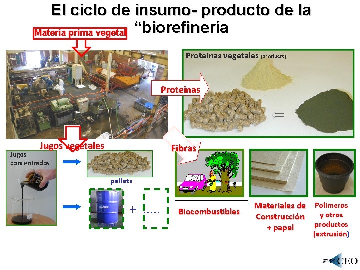 El ciclo de insumo- producto de la Materia prima vegetal “biorefinería Proteinas vegetales (products)