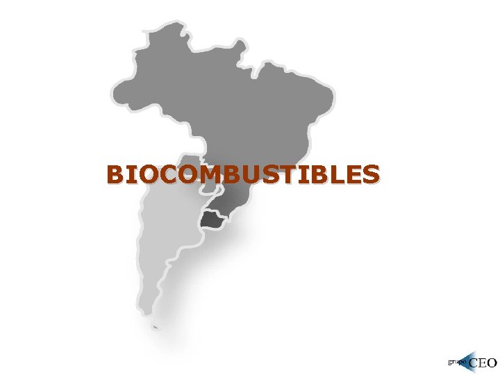 BIOCOMBUSTIBLES 