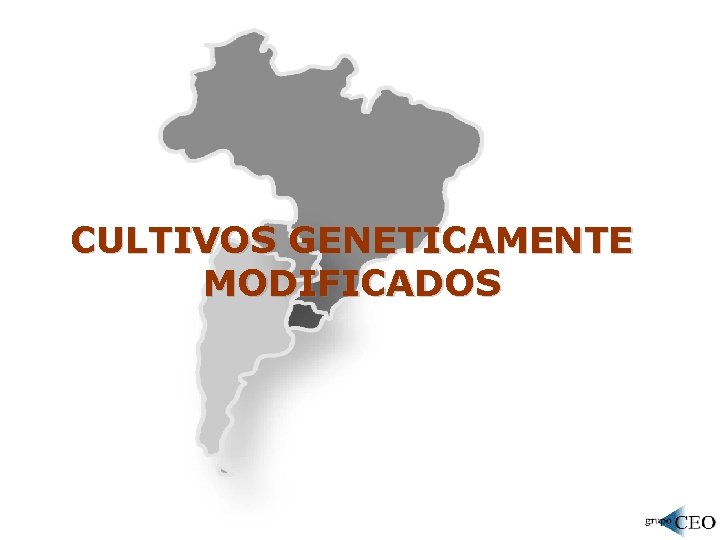 CULTIVOS GENETICAMENTE MODIFICADOS 