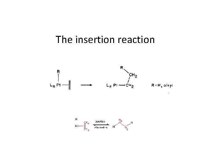 The insertion reaction 