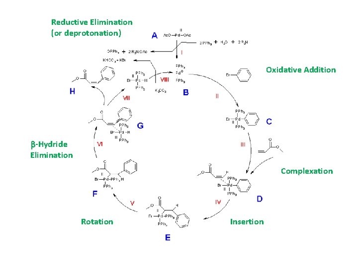 Reductive Elimination (or deprotonation) Oxidative Addition b-Hydride Elimination Complexation Rotation Insertion 