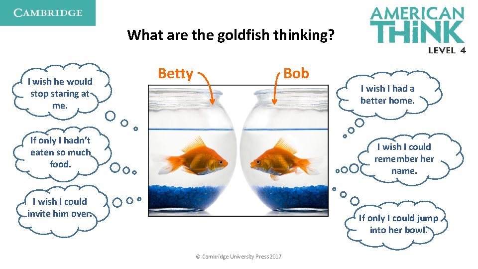 What are the goldfish thinking? I wish he would stop staring at me. Betty