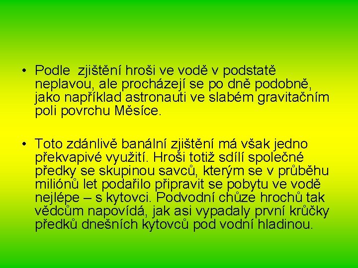 • Podle zjištění hroši ve vodě v podstatě neplavou, ale procházejí se po