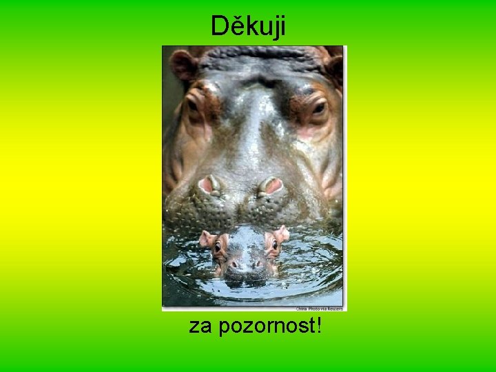 Děkuji za pozornost! 