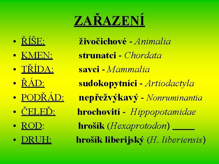 ZAŘAZENÍ • • ŘÍŠE: KMEN: TŘÍDA: ŘÁD: PODŘÁD: ČELEĎ: ROD: DRUH: živočichové - Animalia