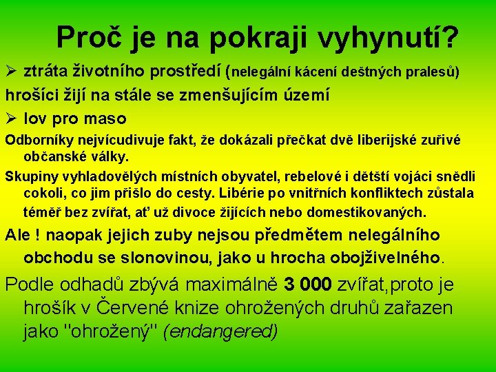 Proč je na pokraji vyhynutí? Ø ztráta životního prostředí (nelegální kácení deštných pralesů) hrošíci
