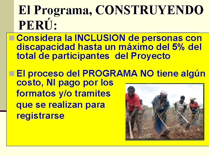 El Programa, CONSTRUYENDO PERÚ: n Considera la INCLUSION de personas con discapacidad hasta un