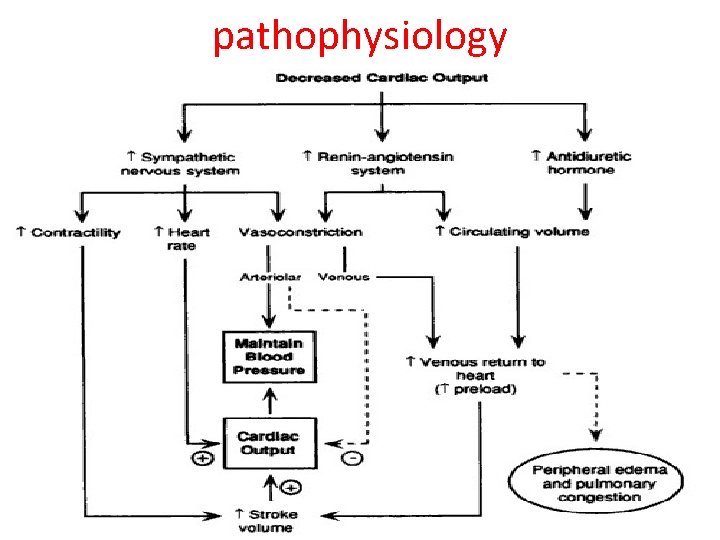 pathophysiology 