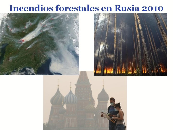 Incendios forestales en Rusia 2010 