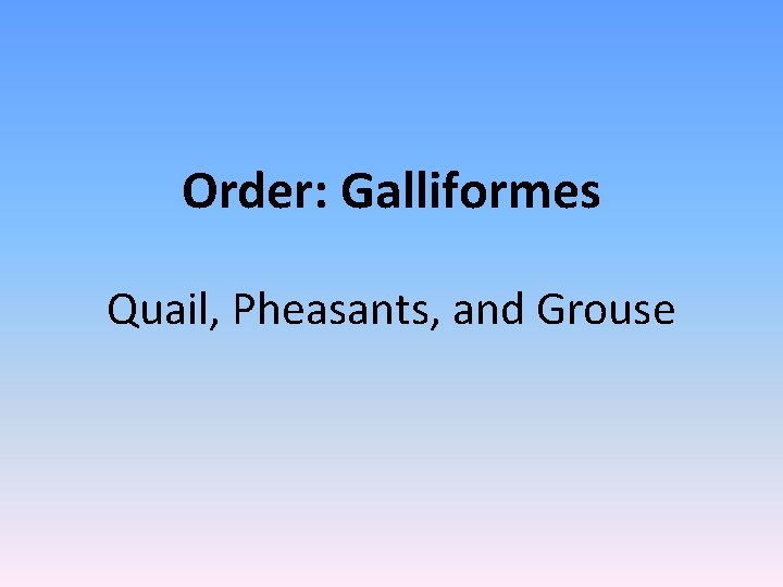 Order: Galliformes Quail, Pheasants, and Grouse 