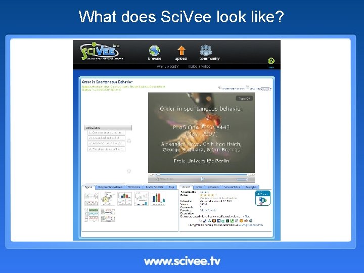 What does Sci. Vee look like? 