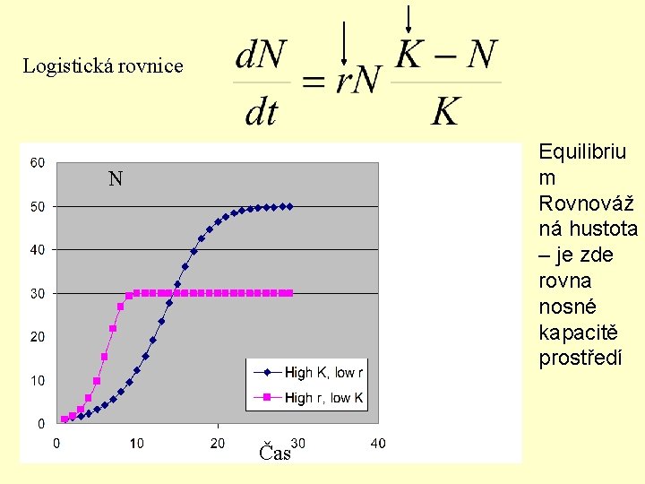 Logistická rovnice Equilibriu m Rovnováž ná hustota – je zde rovna nosné kapacitě prostředí