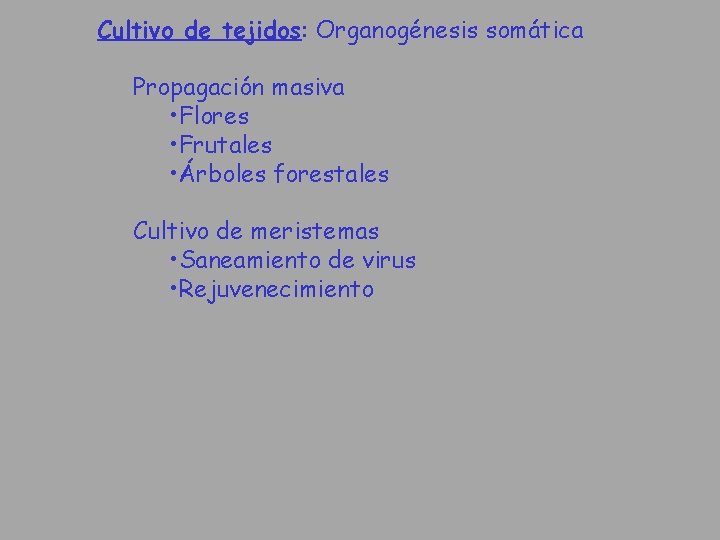 Cultivo de tejidos: Organogénesis somática Propagación masiva • Flores • Frutales • Árboles forestales