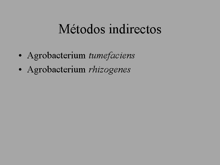 Métodos indirectos • Agrobacterium tumefaciens • Agrobacterium rhizogenes 