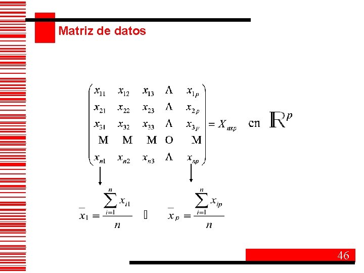 Matriz de datos 46 