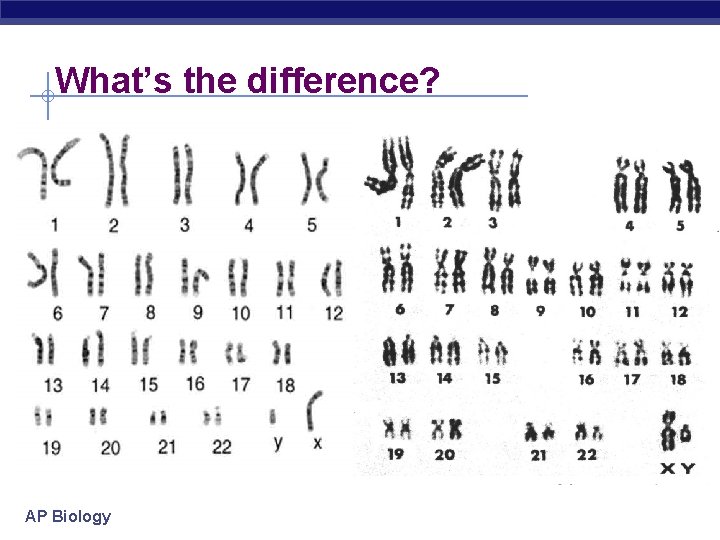 What’s the difference? AP Biology 