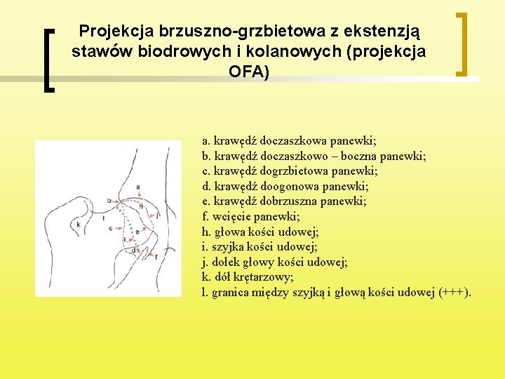 Projekcja brzuszno-grzbietowa z ekstenzją stawów biodrowych i kolanowych (projekcja OFA) a. krawędź doczaszkowa panewki;