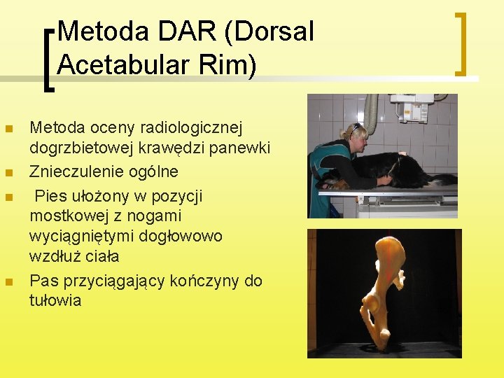 Metoda DAR (Dorsal Acetabular Rim) n n Metoda oceny radiologicznej dogrzbietowej krawędzi panewki Znieczulenie