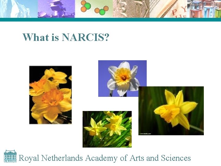 What is NARCIS? Royal Netherlands Academy of Arts and Sciences 