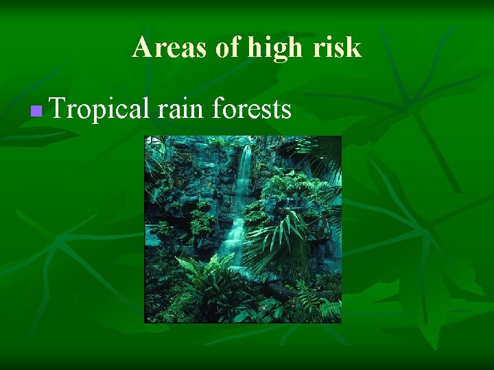 Areas of high risk n Tropical rain forests 