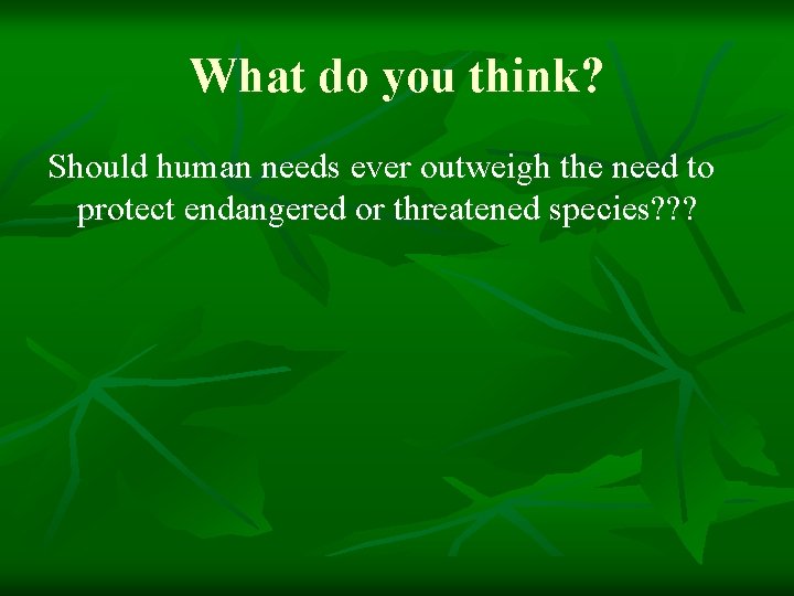 What do you think? Should human needs ever outweigh the need to protect endangered
