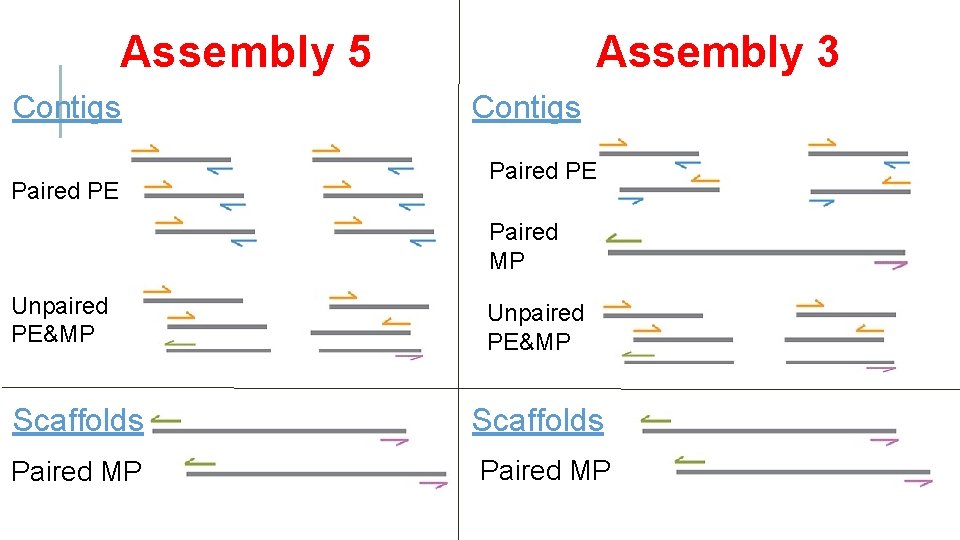 Assembly 5 Contigs Paired PE Assembly 3 Contigs Paired PE Paired MP Unpaired PE&MP