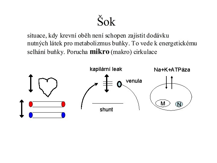 kapilární leak Na+K+ATPáza venula M shunt N 