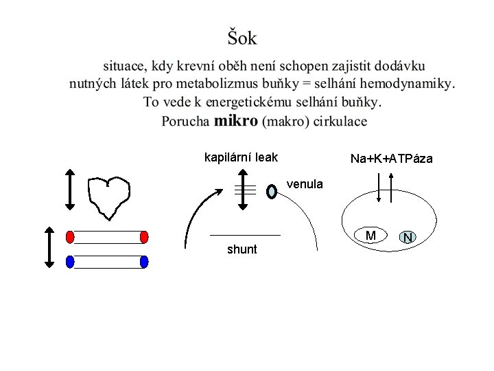 kapilární leak Na+K+ATPáza venula M shunt N 