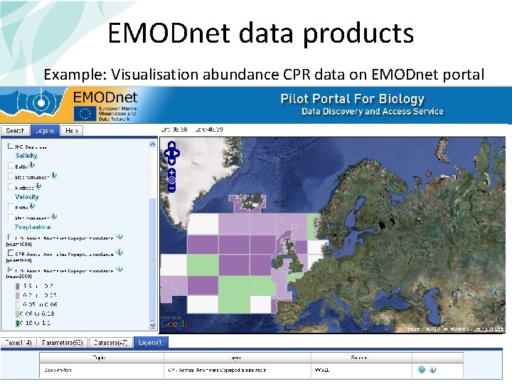 EMODnet data products Example: Visualisation abundance CPR data on EMODnet portal 30 