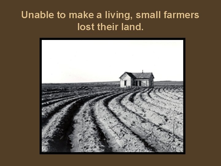 Unable to make a living, small farmers lost their land. 