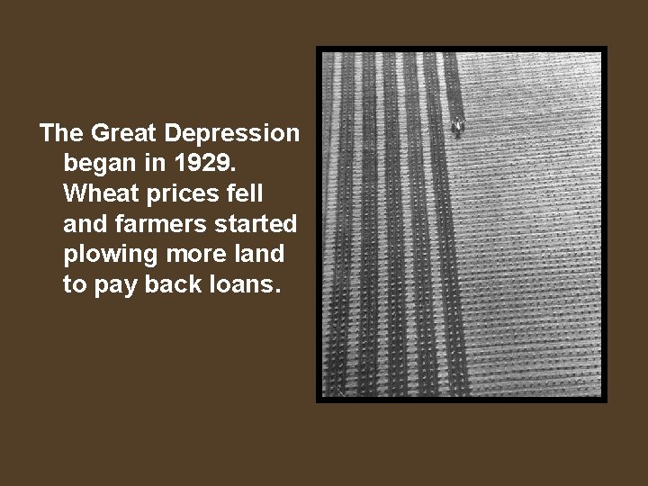 The Great Depression began in 1929. Wheat prices fell and farmers started plowing more