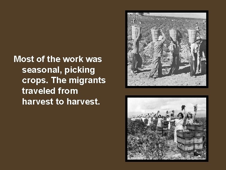 Most of the work was seasonal, picking crops. The migrants traveled from harvest to